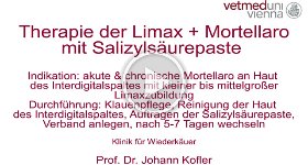 27 Limax-Therapie DD mit Salizylsaeure